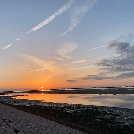 Vakantiewoning De Bosrand Aan Zee Sint Annaland Exterior foto